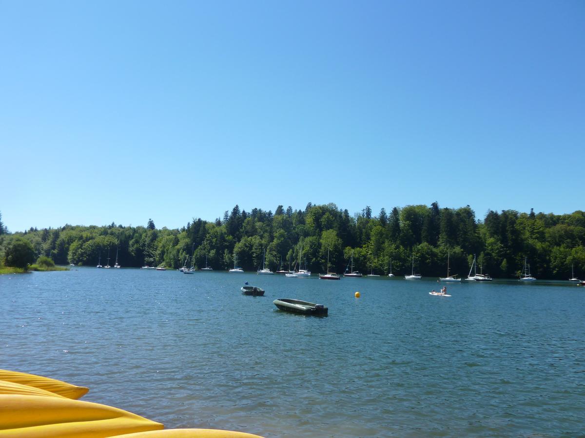 Logis Hotel des Lacs Celles-sur-Plaine Buitenkant foto