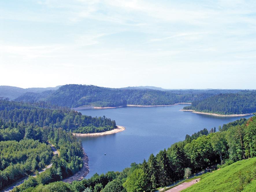 Logis Hotel des Lacs Celles-sur-Plaine Buitenkant foto